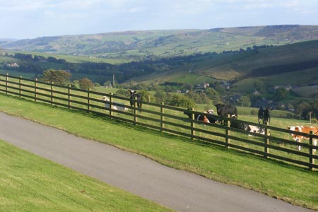 The view to Lothersdale from Calf's Head Farm