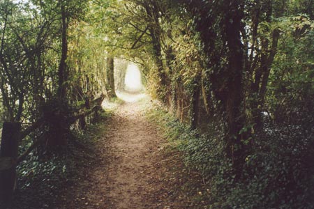 The path down to Middleton Manor