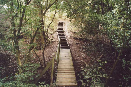 Footbridge in the woods between Streat and Plumpton