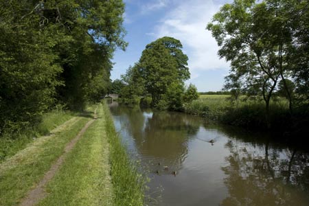 The Llangollen Canal near Welshampton