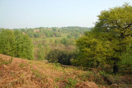 Typical view across Downs Banks
