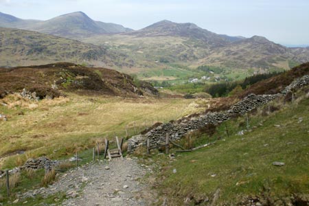 Forest Path, Capel Curig, on descent from Moel Siabod