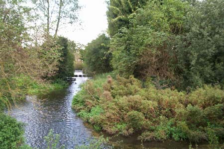 Looking upstream to the weir�