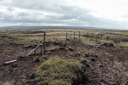Pathless terrain across Moss Moor Edge