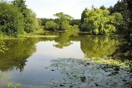 The tranquility of Jubilee Lake, Twyford