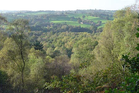 Spectacular views from Kinver Edge