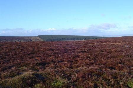 Moorland from Black Mixen to Radnor Forest