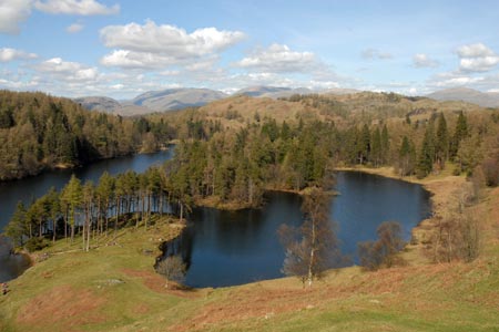 Tarn Hows with a backdrop of Eastern and far Eastern Fells