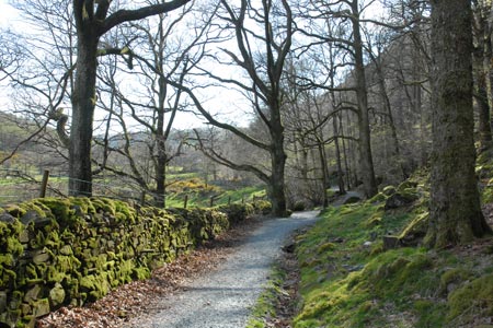The final section of path back to Coniston