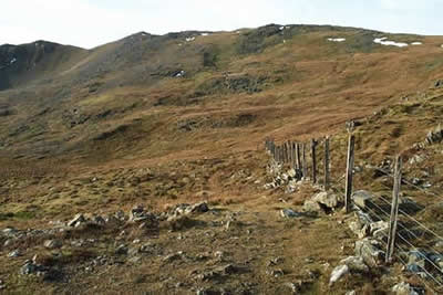 The southern slopes of Arenig Fawr are wild and desolate