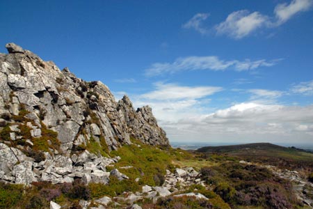 Quartzite on the Stiperstones ridge