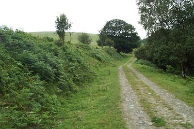 The Offa's Dyke National Trail and Dyke near Lower Spoad