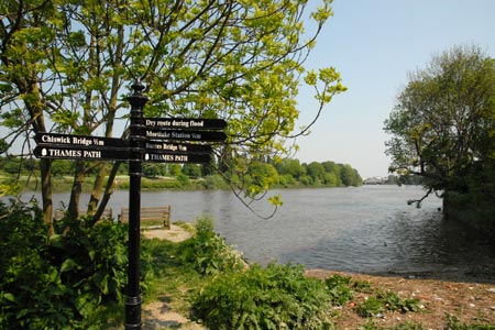 The River Thames near Mortlake