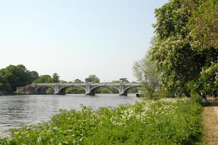 The Richmond Footbridge and Lock from the Thames Path
