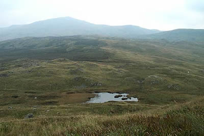 View from north of Glasgwm to Aran Fawddwy