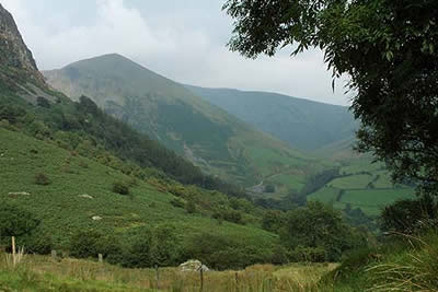 Summit of Gwaun y Llwyni rises steeply from Cwm Cywarch