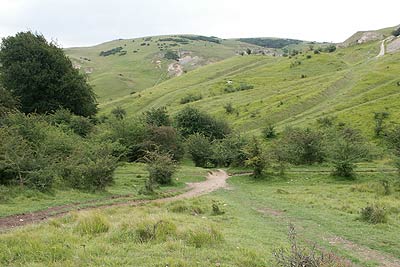 The rolling hills that form Cleeve Common