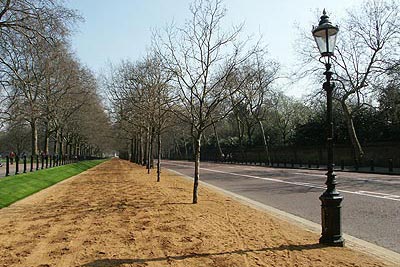 Looking down Constitution Hill towards Buckingham Palace