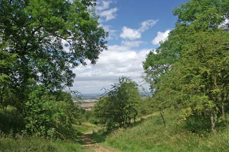 Cotswold Way descends from Shenberrow to Stanton