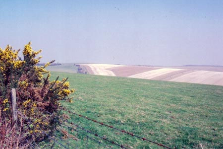 View east from between Cissbury Ring and Chanctonbury Ring