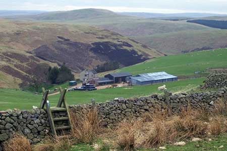 Puncherton Farm, above Clennell
