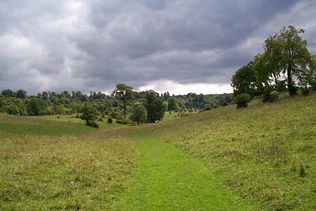 Looking southwest across the valley in Tring Park
