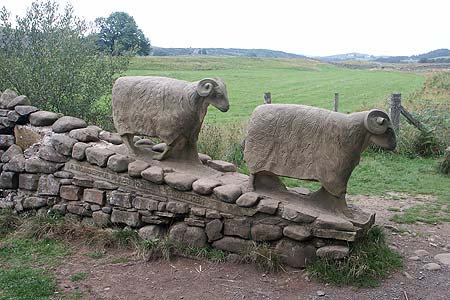Stone sheep on the Pennine Way in Teesdale