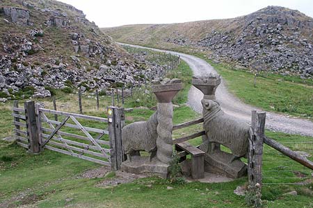 The wonderful stile with sheep and grouse near Holwick