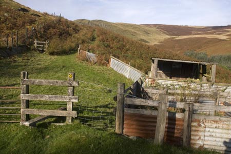 The sheep pens below Bwlch Sych