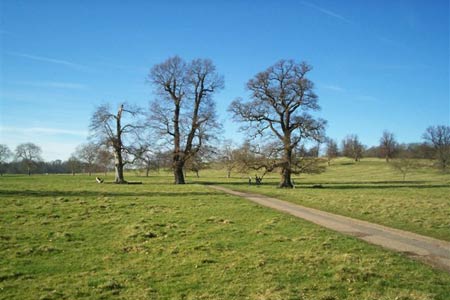 Path through the parkland in Wimpole Park