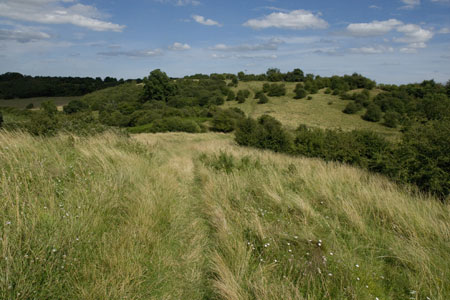 The earthworks of Beaudesert Castle near Henley-in-Arden