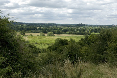 Warwickshire countryside near Henley-in-Arden