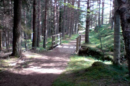 Footpath near Braemar Castle