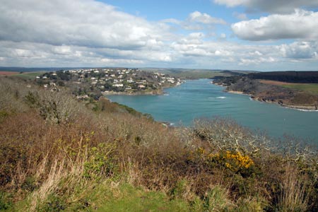 Salcombe and the estuary from above Fir Wood