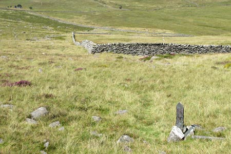 Garnedd Goch - Marker stones and long field wall