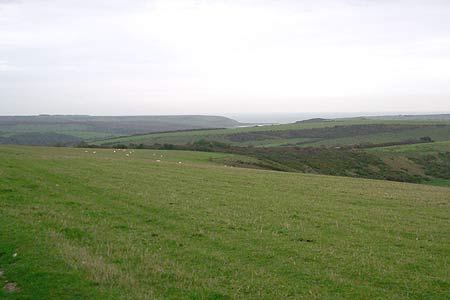View to Cuckmere Haven from summit of Bostal Hill