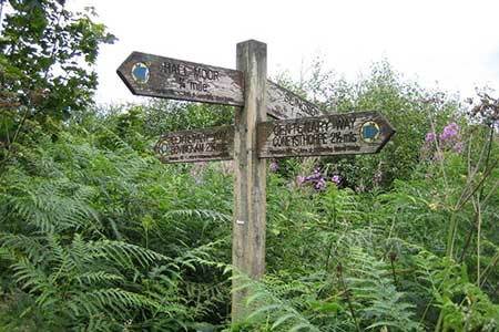 Centenary Way footpath sign at Slingsby Bank