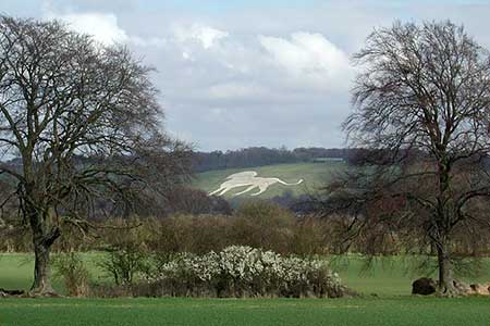 View of the Whipsnade White Lion