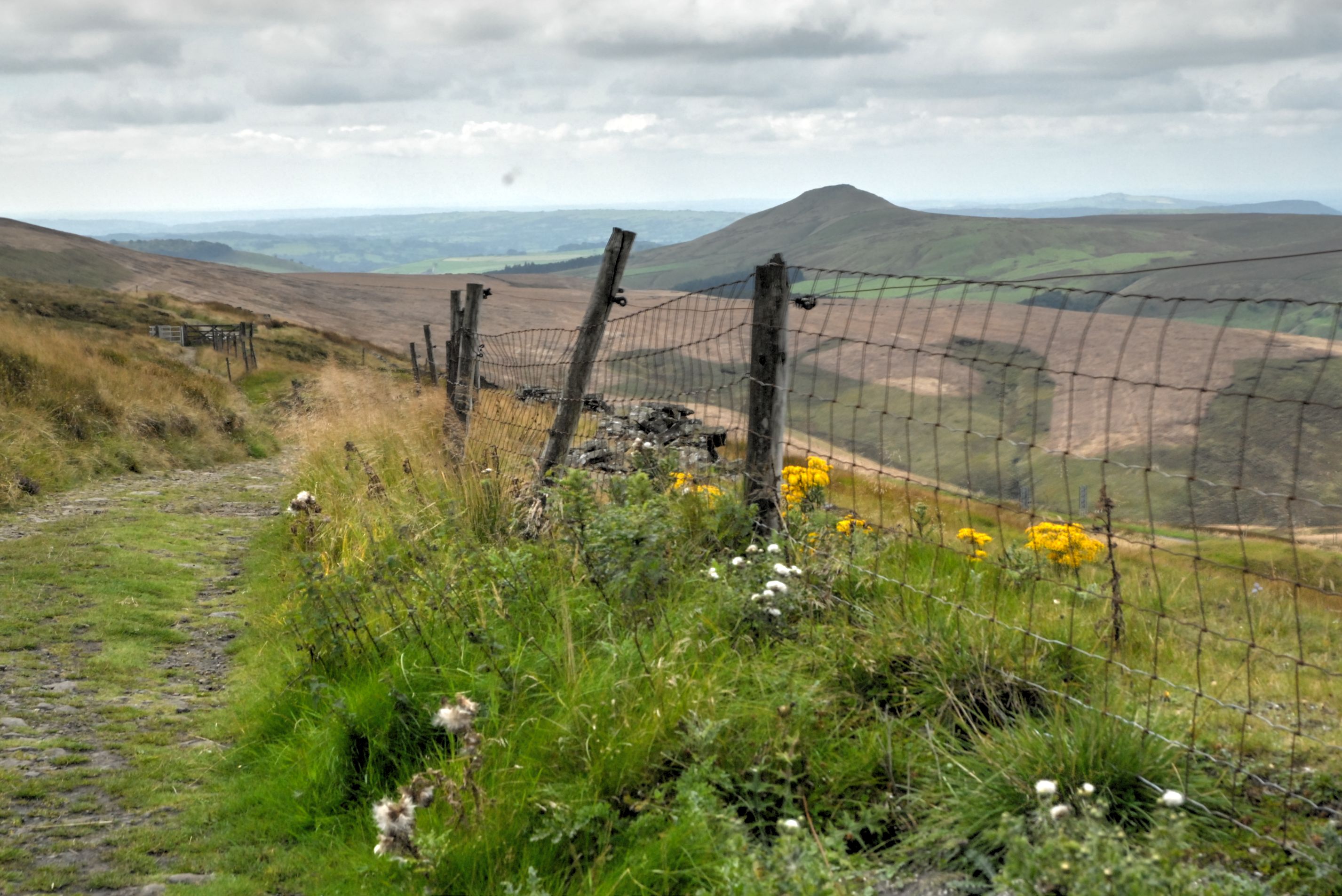 Track to Shiningg Tor from Cat & Fiddle
