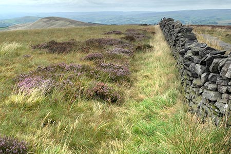 View north from Shining Tor to Cat's Tor