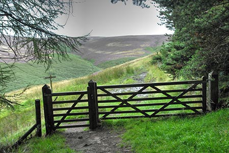 The first view into Goyt's Clough