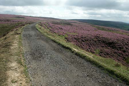 The railway trackbed that served the mines in Rosedale