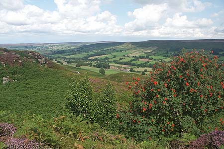 Danby Dale from High Crag