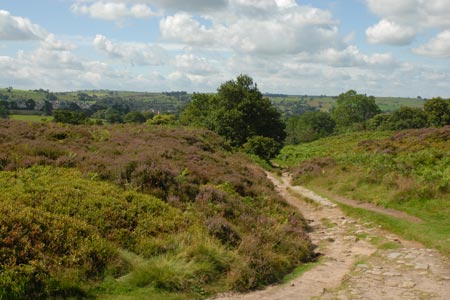 The edge of Stanton Moor