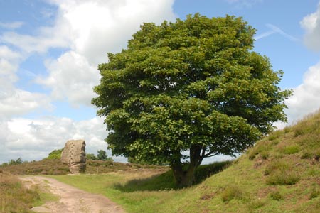 The Cork Stone, Stanton Moor