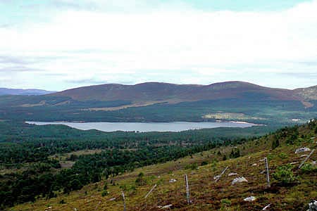 Loch Morlich from high in the Cairngorms