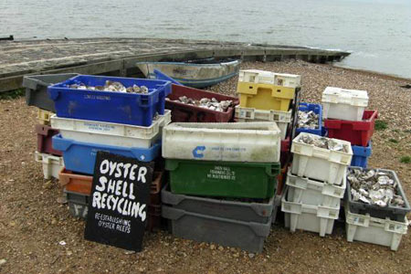 Recycling on Whitstable beach