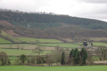 Windmill in the distance in the woods near Burrington