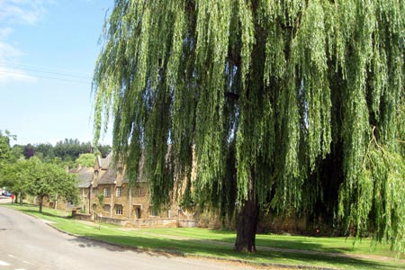 Hornton village