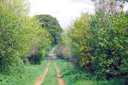 The green lane from Briar Stockings to Church End